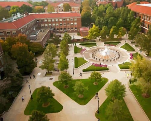 Purdue University Overhead View Paint By Numbers