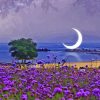 Purple Blossom Moon On Beach Paint By Numbers