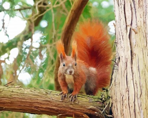 Red Squirrel On A Branch Paint By Numbers