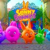 Sunny Bunnies Cartoon Characters Paint By Numbers