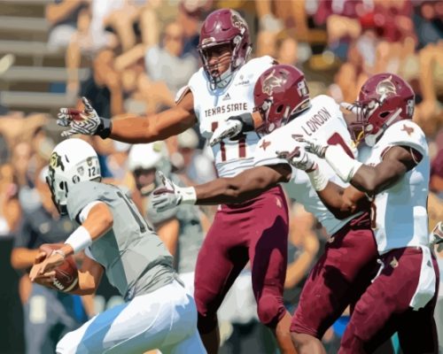 Texas State Bobcats Team Paint By Numbers