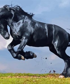 The Black Stallion Paint By Numbers