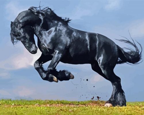 The Black Stallion Paint By Numbers