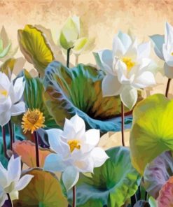 White Lotus Flowers Paint By Numbers