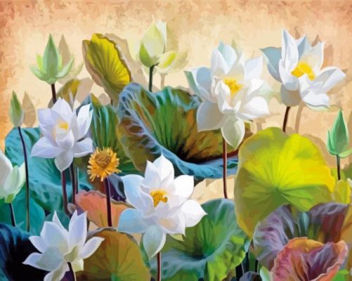 White Lotus Flowers Paint By Numbers