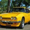 Yellow Reliant Scimitar Paint By Numbers