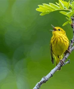 Yellow Warbler On Stick Paint By Numbers