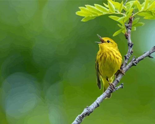 Yellow Warbler On Stick Paint By Numbers