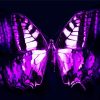 Abstract Black And Purple Butterfly Paint By Numbers