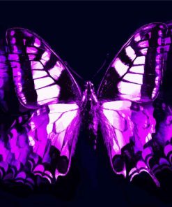Abstract Black And Purple Butterfly Paint By Numbers