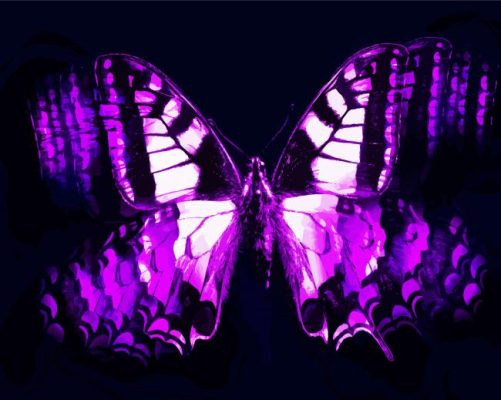 Abstract Black And Purple Butterfly Paint By Numbers