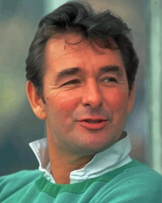 Aesthetic Brian Clough Paint By Numbers