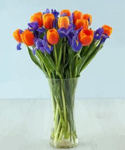 Aesthetic Irises And Tulips Paint By Numbers