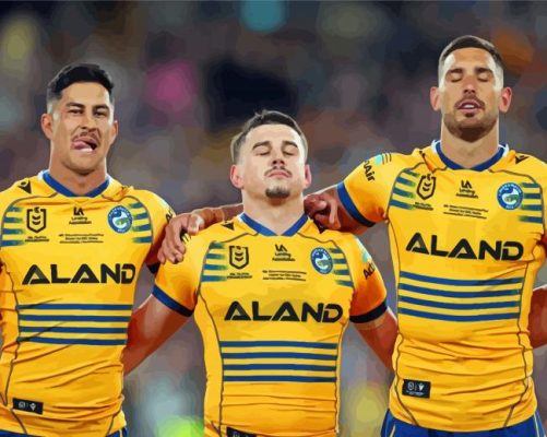 Aesthetic Parramatta Eels Paint By Numbers