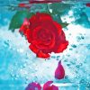 Aesthetic Rose In Water Paint By Numbers