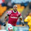 Aesthetic Michail Antonio Paint By Numbers