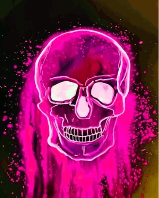 Aesthetic Pink Skull Paint By Numbers