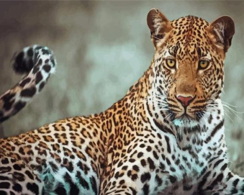 Aesthetic Wild Leopard Paint By Numbers