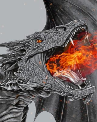 Angry Dragon Last Fire Paint By Numbers