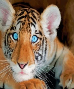 Baby Blue Eyes Tiger Paint By Numbers