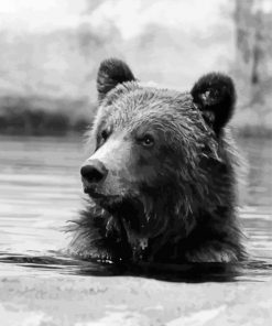 Black And White Bear Head In Water Paint By Numbers