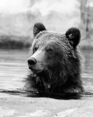 Black And White Bear Head In Water Paint By Numbers