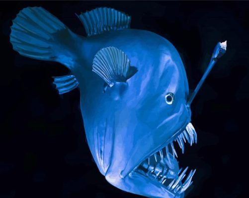 Blue Angelfish Paint By Numbers