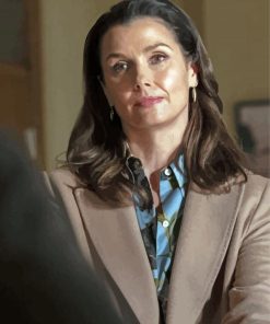 Blue Bloods Bridget Moynahan Paint By Numbers