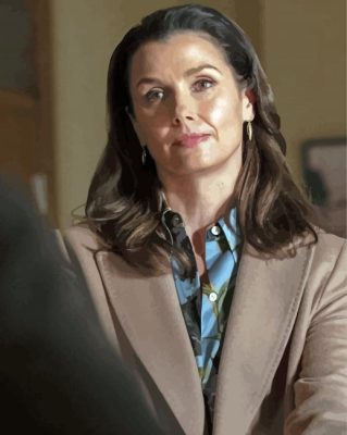 Blue Bloods Bridget Moynahan Paint By Numbers