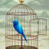 Blue Parakeet In Cage Paint By Numbers