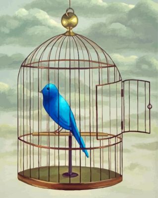 Blue Parakeet In Cage Paint By Numbers