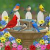 Colorful Birds And Gardens Paint By Numbers