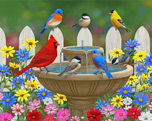 Colorful Birds And Gardens Paint By Numbers