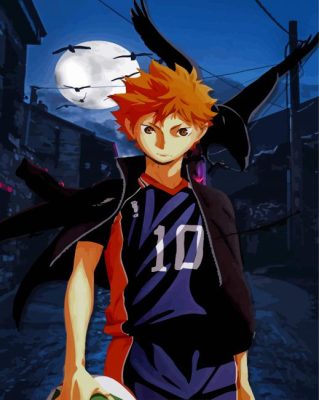 Cool Shoyo Hinata Paint By Numbers