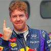 Cool Sebastian Vettel Paint By Numbers
