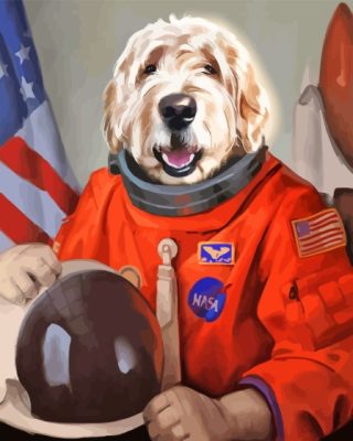 Dog Astronaut Paint By Numbers