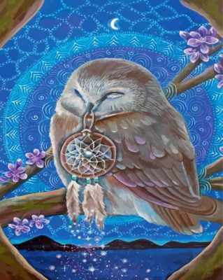 Dream Light Owl Paint By Numbers