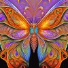 Fantasy Butterfly Art Paint By Numbers