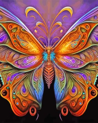 Fantasy Butterfly Art Paint By Numbers