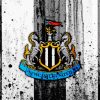 FC Newcastle United Football Club Paint By Numbers