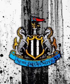 FC Newcastle United Football Club Paint By Numbers