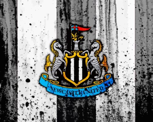 FC Newcastle United Football Club Paint By Numbers