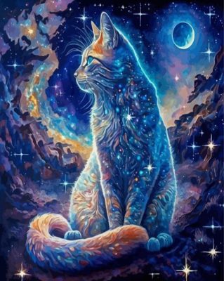 Galaxy Cat Pet Paint By Numbers