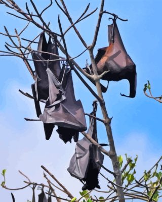 Giant Golden Crowned Flying Foxes Paint By Numbers