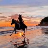 Horse Girl Ride On The Beach Paint By Numbers