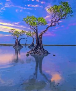 Mangrove Trees Walakiri Beach Paint By Numbers