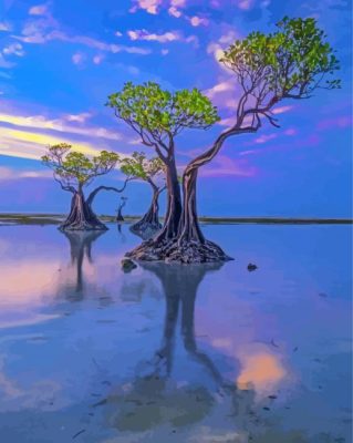 Mangrove Trees Walakiri Beach Paint By Numbers