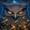 Moon Owl Paint By Numbers