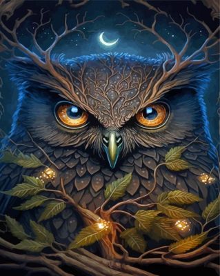 Moon Owl Paint By Numbers