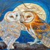 Moon Owls Paint By Numbers